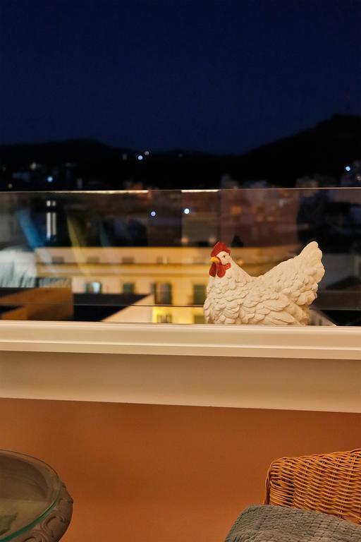 Picasso'S Birthplace Views 말라가 외부 사진